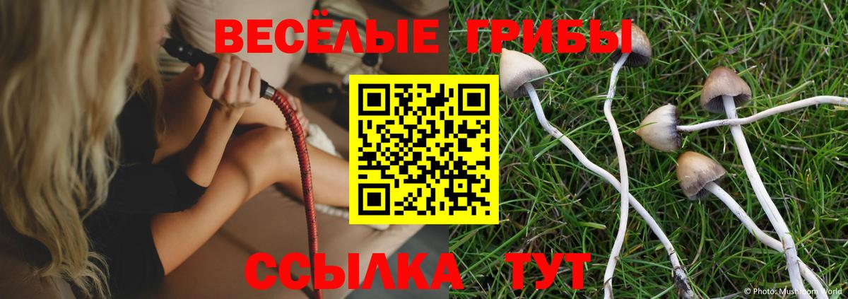 Псилоцибиновые грибы прущие грибы Зеленогорск