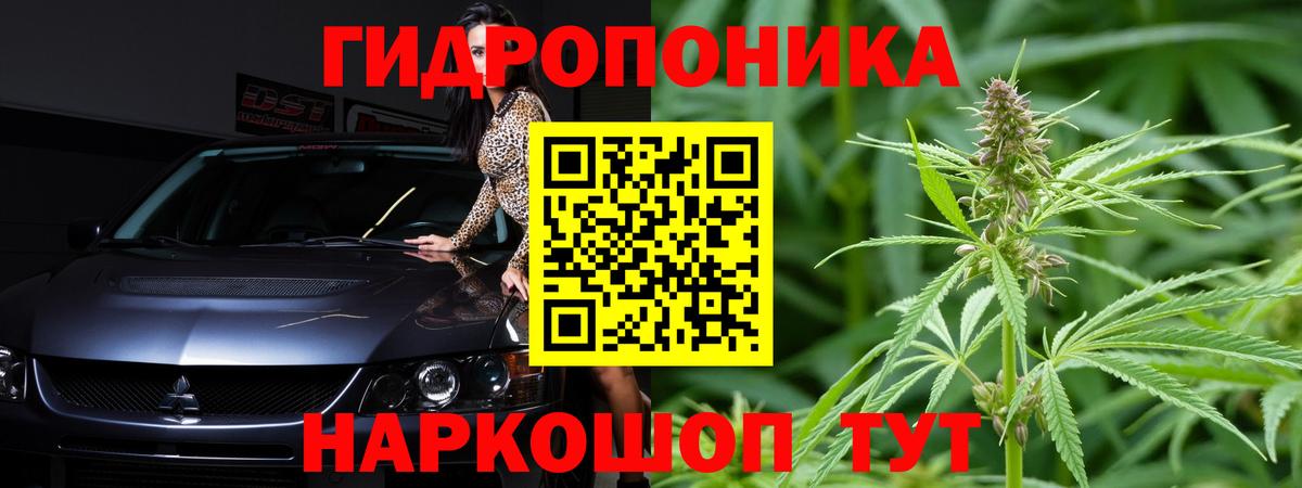 Конопля планчик  Бошки Шишки сатива  МАРИХУАНА Bruce Banner  Зеленогорск  Вход с VPN 